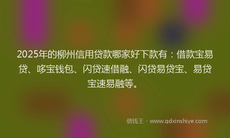 2025年的柳州信用贷款哪家好下款有：借款宝易贷、哆宝钱包、闪贷速借融、闪贷易贷宝、易贷宝速易融等。