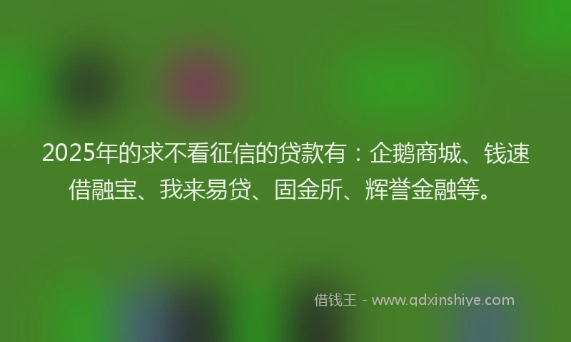 2025年的求不看征信的贷款有：企鹅商城、钱速借融宝、我来易贷、固金所、辉誉金融等。