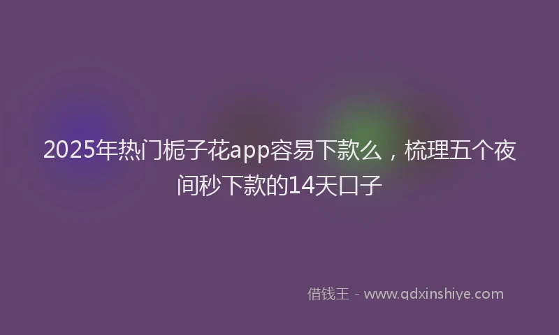 2025年热门栀子花app容易下款么，梳理五个夜间秒下款的14天口子