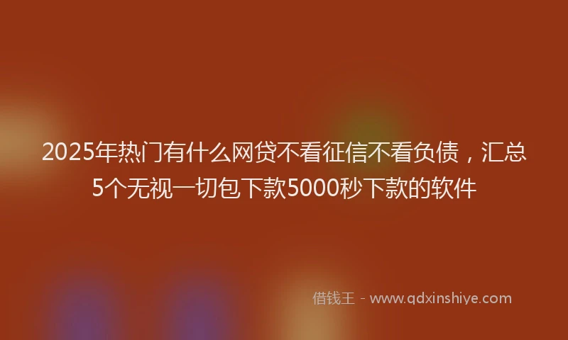 2025年热门有什么网贷不看征信不看负债，汇总5个无视一切包下款5000秒下款的软件