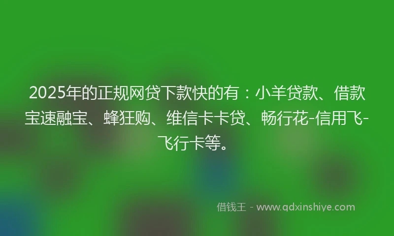 2025年的正规网贷下款快的有：小羊贷款、借款宝速融宝、蜂狂购、维信卡卡贷、畅行花-信用飞-飞行卡等。