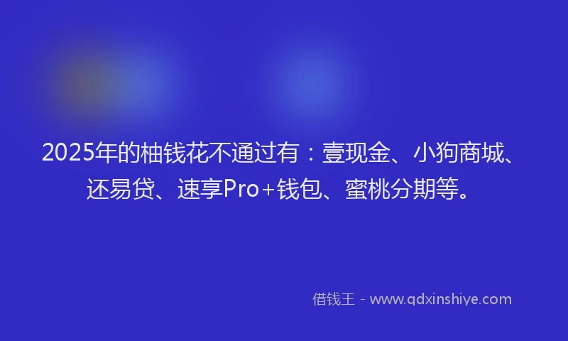 2025年的柚钱花不通过有：壹现金、小狗商城、还易贷、速享Pro+钱包、蜜桃分期等。