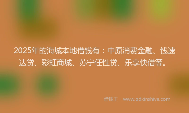 2025年的海城本地借钱有：中原消费金融、钱速达贷、彩虹商城、苏宁任性贷、乐享快借等。