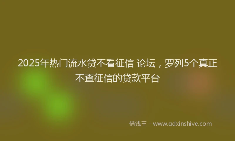 2025年热门流水贷不看征信 论坛，罗列5个真正不查征信的贷款平台