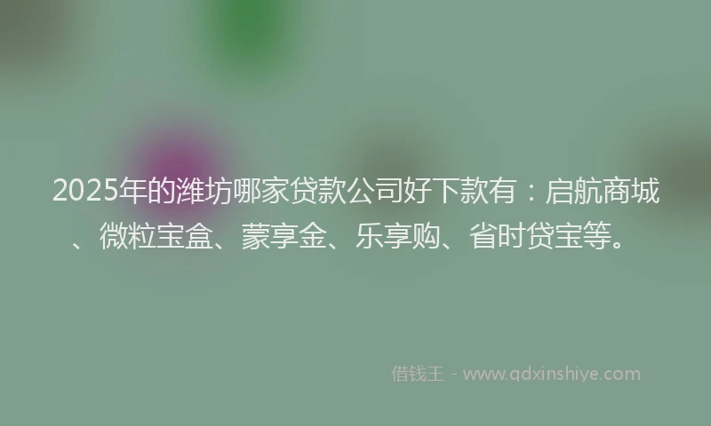 2025年的潍坊哪家贷款公司好下款有：启航商城、微粒宝盒、蒙享金、乐享购、省时贷宝等。