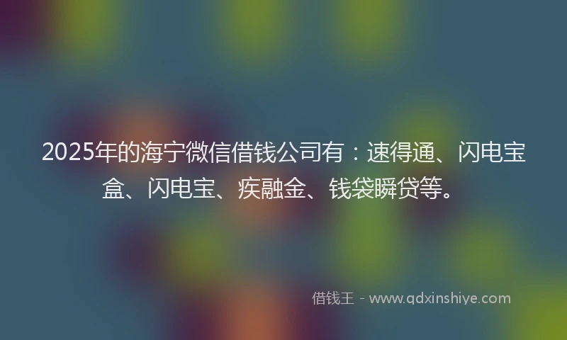 2025年的海宁微信借钱公司有：速得通、闪电宝盒、闪电宝、疾融金、钱袋瞬贷等。
