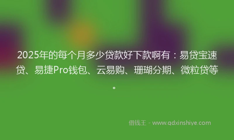 2025年的每个月多少贷款好下款啊有：易贷宝速贷、易捷Pro钱包、云易购、珊瑚分期、微粒贷等。