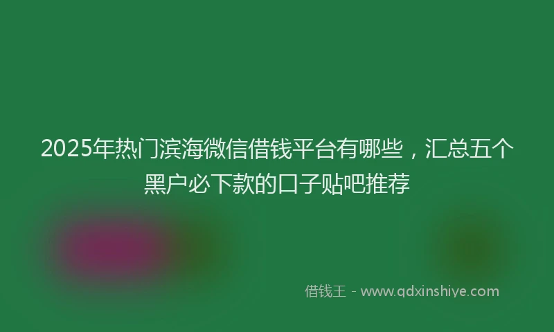 2025年热门滨海微信借钱平台有哪些，汇总五个黑户必下款的口子贴吧推荐