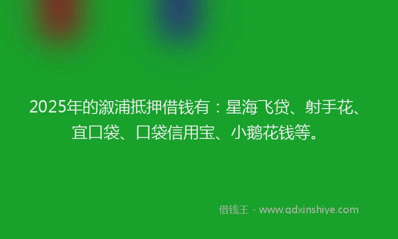 2025年的溆浦抵押借钱有：星海飞贷、射手花、宜口袋、口袋信用宝、小鹅花钱等。