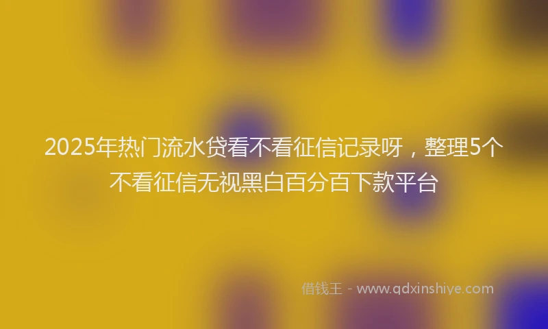 2025年热门流水贷看不看征信记录呀，整理5个不看征信无视黑白百分百下款平台