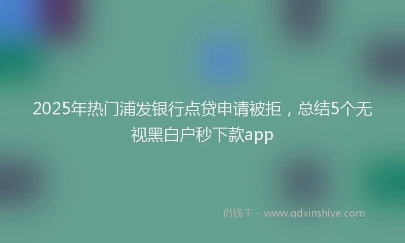 2025年热门浦发银行点贷申请被拒,总结5个无视黑白户秒下款app