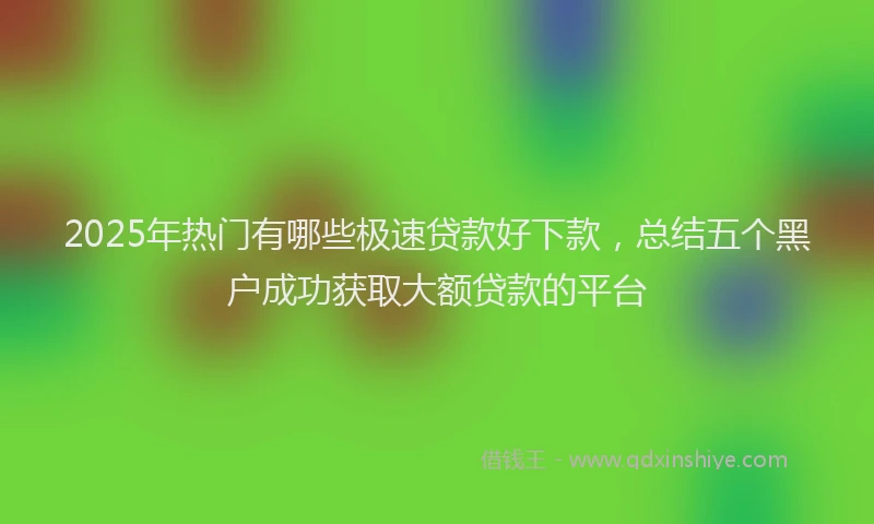 2025年热门有哪些极速贷款好下款，总结五个黑户成功获取大额贷款的平台