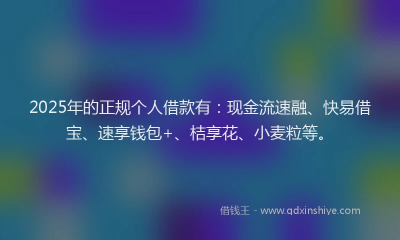 2025年的正规个人借款有：现金流速融、快易借宝、速享钱包+、桔享花、小麦粒等。