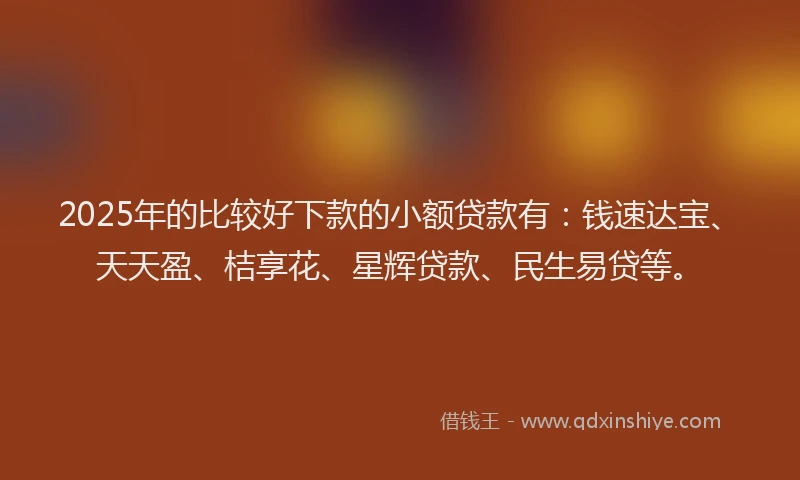 2025年的比较好下款的小额贷款有：钱速达宝、天天盈、桔享花、星辉贷款、民生易贷等。