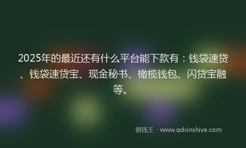 2025年的最近还有什么平台能下款有：钱袋速贷、钱袋速贷宝、现金秘书、橄榄钱包、闪贷宝融等。