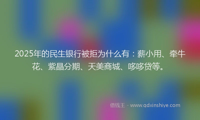 2025年的民生银行被拒为什么有：薪小用、牵牛花、紫晶分期、天美商城、哆哆贷等。