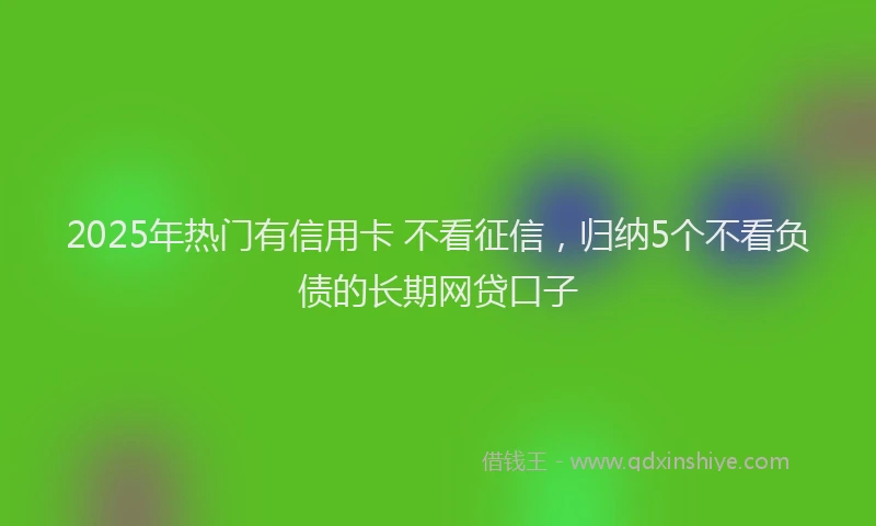 2025年热门有信用卡 不看征信，归纳5个不看负债的长期网贷口子