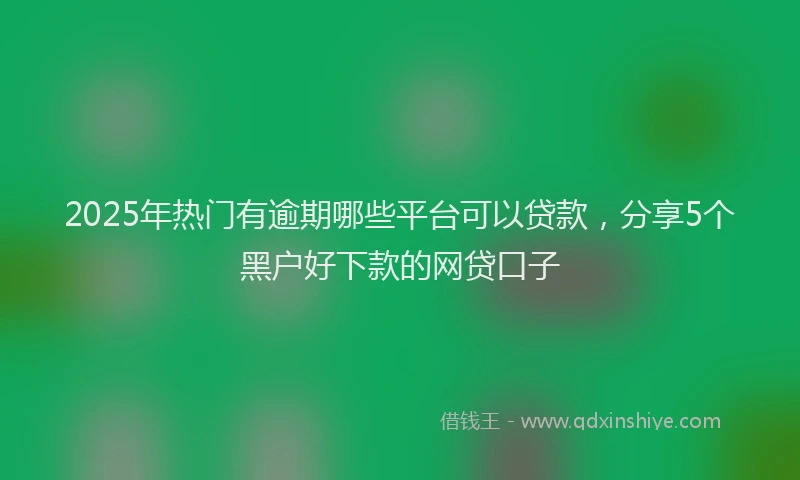 2025年热门有逾期哪些平台可以贷款，分享5个黑户好下款的网贷口子