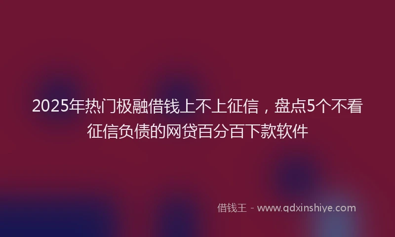 2025年热门极融借钱上不上征信，盘点5个不看征信负债的网贷百分百下款软件