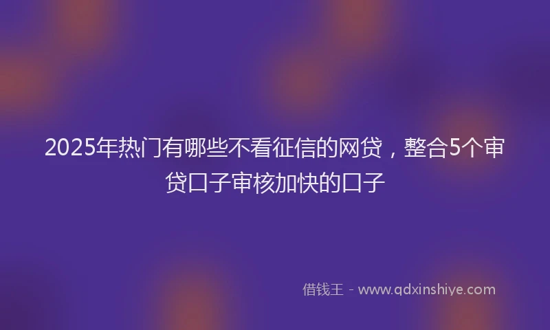 2025年热门有哪些不看征信的网贷，整合5个审贷口子审核加快的口子