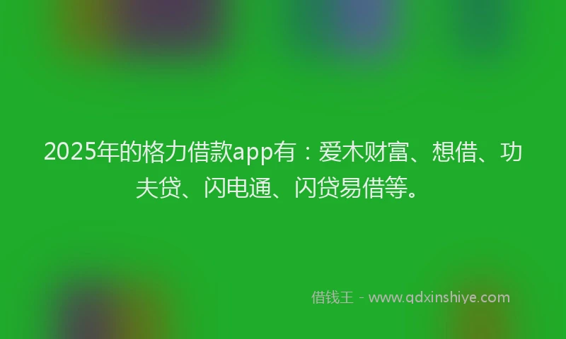 2025年的格力借款app有：爱木财富、想借、功夫贷、闪电通、闪贷易借等。