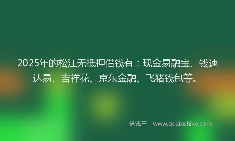 2025年的松江无抵押借钱有：现金易融宝、钱速达易、吉祥花、京东金融、飞猪钱包等。
