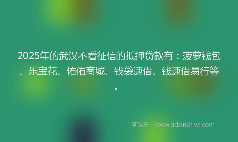 2025年的武汉不看征信的抵押贷款有：菠萝钱包、乐宝花、佑佑商城、钱袋速借、钱速借易行等。