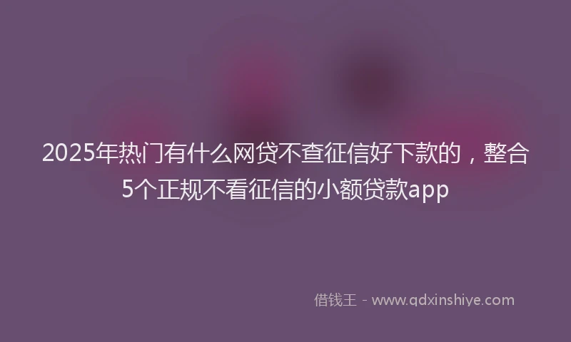 2025年热门有什么网贷不查征信好下款的，整合5个正规不看征信的小额贷款app