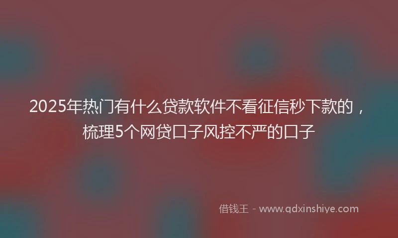2025年热门有什么贷款软件不看征信秒下款的，梳理5个网贷口子风控不严的口子