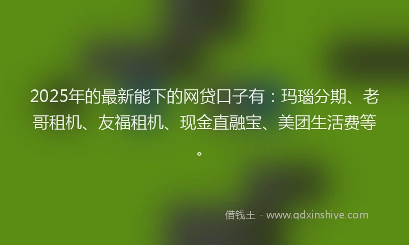 2025年的最新能下的网贷口子有：玛瑙分期、老哥租机、友福租机、现金直融宝、美团生活费等。