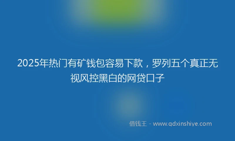 2025年热门有矿钱包容易下款,罗列五个真正无视风控黑白的网贷口子