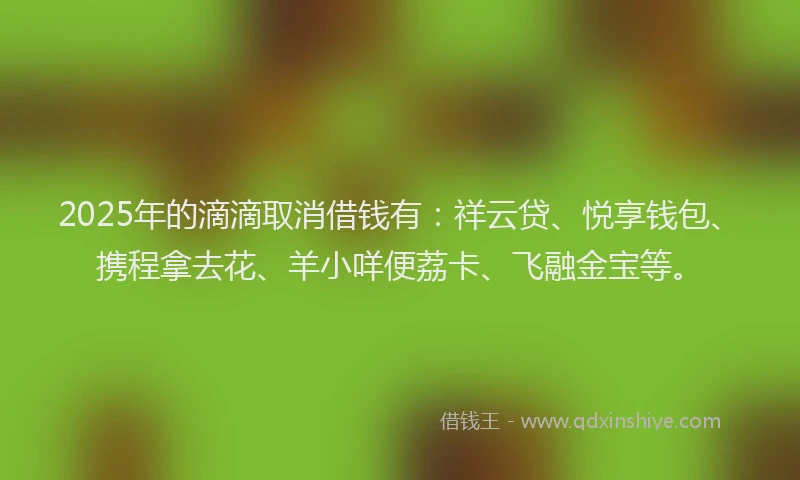 2025年的滴滴取消借钱有：祥云贷、悦享钱包、携程拿去花、羊小咩便荔卡、飞融金宝等。
