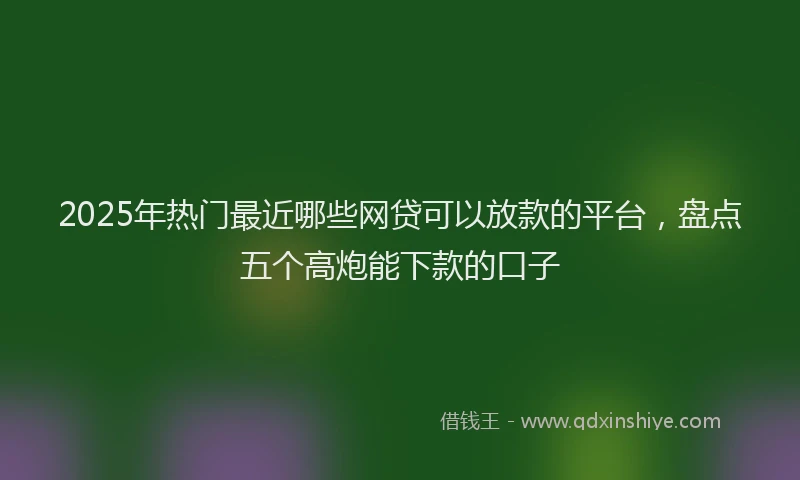 2025年热门最近哪些网贷可以放款的平台，盘点五个高炮能下款的口子