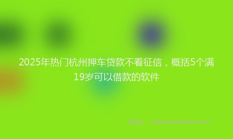 2025年热门杭州押车贷款不看征信，概括5个满19岁可以借款的软件