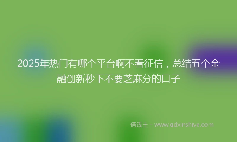 2025年热门有哪个平台啊不看征信，总结五个金融创新秒下不要芝麻分的口子