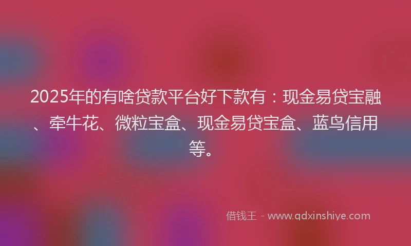 2025年的有啥贷款平台好下款有：现金易贷宝融、牵牛花、微粒宝盒、现金易贷宝盒、蓝鸟信用等。