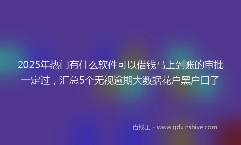2025年热门有什么软件可以借钱马上到账的审批一定过，汇总5个无视逾期大数据花户黑户口子
