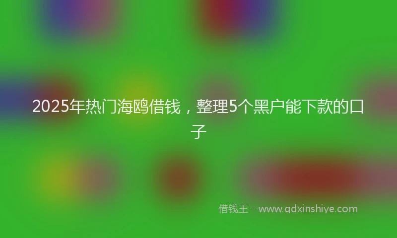2025年热门海鸥借钱，整理5个黑户能下款的口子