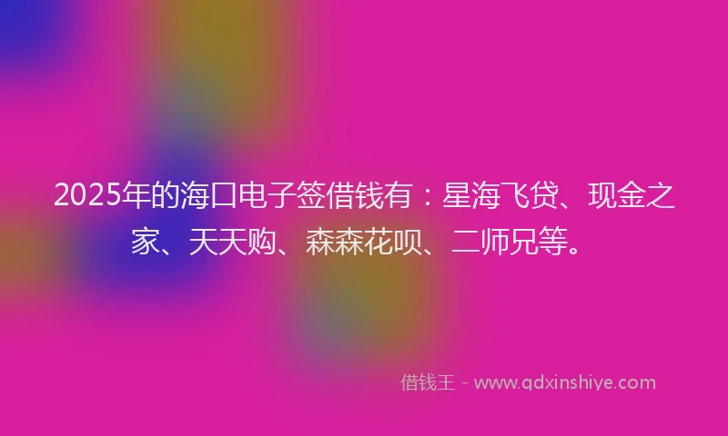 2025年的海口电子签借钱有：星海飞贷、现金之家、天天购、森森花呗、二师兄等。