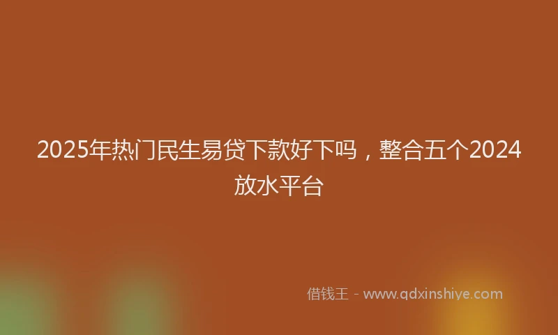 2025年热门民生易贷下款好下吗，整合五个2024放水平台