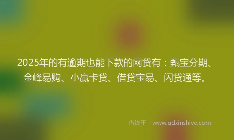 2025年的有逾期也能下款的网贷有:甄宝分期、金峰易购、小赢卡贷、借贷宝易、闪贷通等。