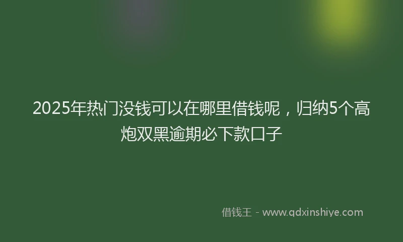 2025年热门没钱可以在哪里借钱呢，归纳5个高炮双黑逾期必下款口子