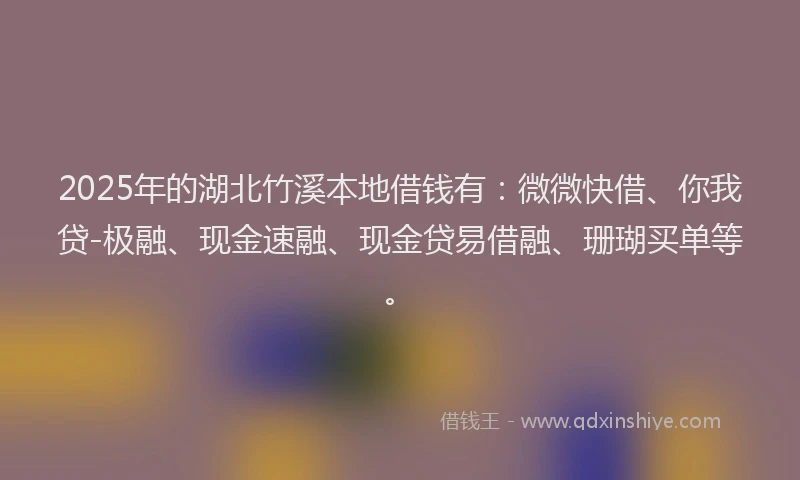 2025年的湖北竹溪本地借钱有：微微快借、你我贷-极融、现金速融、现金贷易借融、珊瑚买单等。