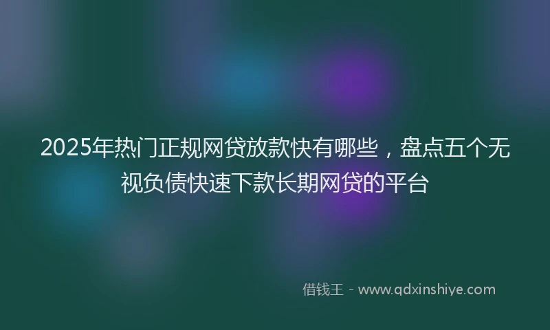 2025年热门正规网贷放款快有哪些，盘点五个无视负债快速下款长期网贷的平台