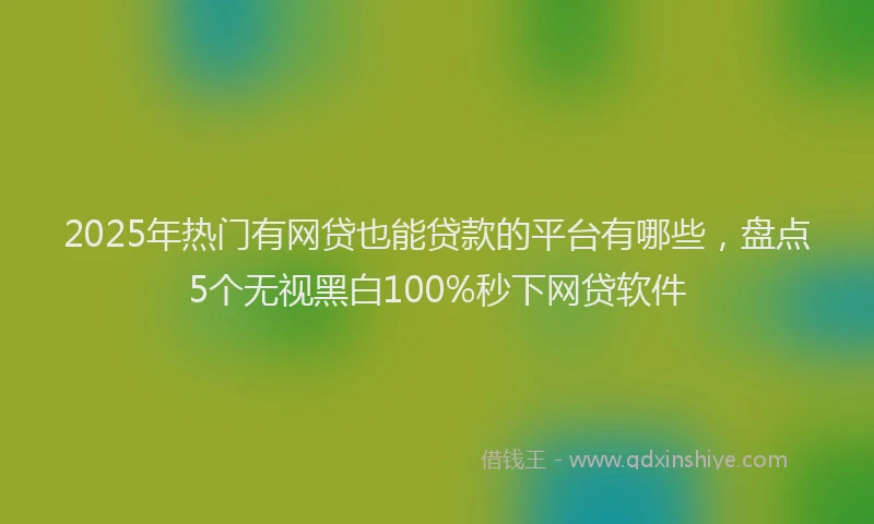 2025年热门有网贷也能贷款的平台有哪些，盘点5个无视黑白100%秒下网贷软件