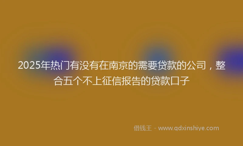 2025年热门有没有在南京的需要贷款的公司，整合五个不上征信报告的贷款口子