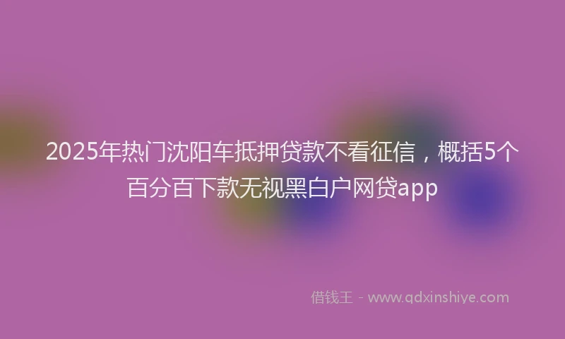 2025年热门沈阳车抵押贷款不看征信，概括5个百分百下款无视黑白户网贷app
