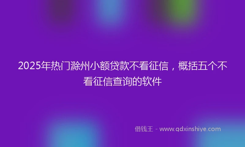 2025年热门滁州小额贷款不看征信，概括五个不看征信查询的软件