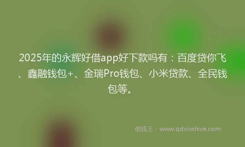 2025年的永辉好借app好下款吗有：百度贷你飞、鑫融钱包+、金瑞Pro钱包、小米贷款、全民钱包等。