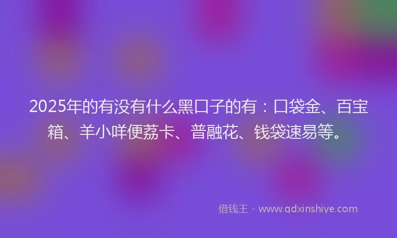 2025年的有没有什么黑口子的有：口袋金、百宝箱、羊小咩便荔卡、普融花、钱袋速易等。